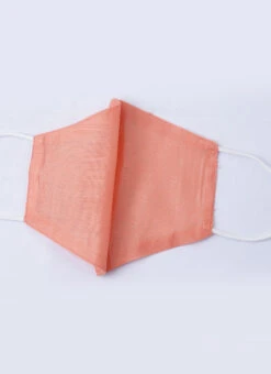 Beige And Wasabi Green Contrast Embroidered Gown Festive Wear -Indo Clothing Shop Beige and Wasabi Green Contrast Embroidered Gown IWBS01912997 rrc4