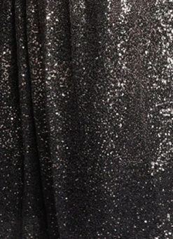 Black Sequins Embroidered Skirt Party Wear 15 Black Sequins Embroidered Skirt Party Wear -Indo Clothing Shop Black Sequins Embroidered Skirt WBBS02306473 rrc4