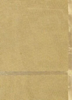 Cream Art Tussar Silk Dupatta After Six Wear