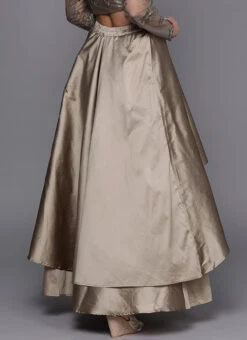 Dusty Gold Taffeta Skirt Festive Wear 11 Dusty Gold Taffeta Skirt Festive Wear -Indo Clothing Shop Dusty Gold Taffeta Skirt WBBS02307549 b