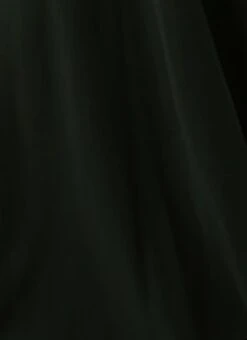 Green Georgette Embroidered Dress Festive Wear -Indo Clothing Shop Green Georgette Embroidered Dress DRBS02212609 rrc4