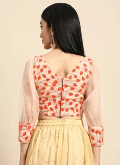 Light Peach Embroidered Chiffon Blouse Party Wear 11 Light Peach Embroidered Chiffon Blouse Party Wear -Indo Clothing Shop Light Peach Embroidered Chiffon Blouse BLBS02301968 b