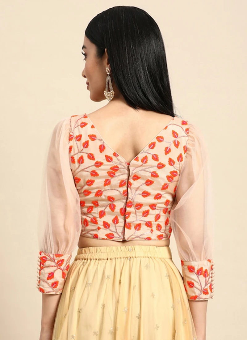 Light Peach Embroidered Chiffon Blouse Party Wear 4 Light Peach Embroidered Chiffon Blouse Party Wear - Image 4