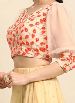 Light Peach Embroidered Chiffon Blouse Party Wear