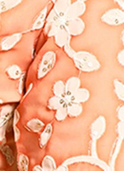 Peach Embroidered Georgette Blouse Festive Wear 15 Peach Embroidered Georgette Blouse Festive Wear -Indo Clothing Shop Peach Embroidered Georgette Blouse BLBS02305185 rrc4