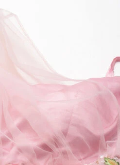 Skirt From Pink Net Embroidered Skirt Set After Six Wear -Indo Clothing Shop Pink Net Embroidered Skirt Set IWBS02212474 rrc1