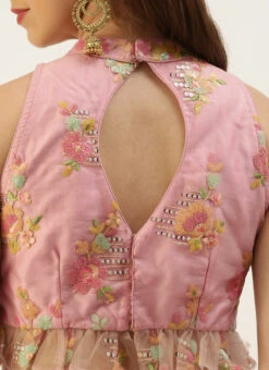 Skirt From Pink Net Thread Embroidered Skirt Set After Six Wear -Indo Clothing Shop Pink Net Thread Embroidered Skirt Set IWBS02212473 rrc3