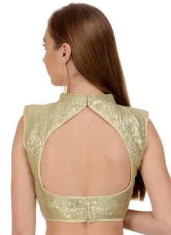 Beige Net Sequins Blouse Festive Wear -Indo Clothing Shop beige net sequins blouse bldiw11 b