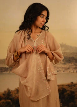 Chikku Brown Chanderi Silk Embroidered Dupatta Party Wear -Indo Clothing Shop chikku brown chanderi silk embroidered dupatta dpbadcssfch01 b