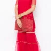 Dark Red Net Embroidered Kurta Sharara Set After Six Wear
