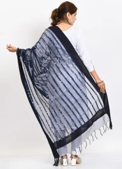 Navy Blue Organza Cotton Mirror Embroidery Dupatta Work Wear -Indo Clothing Shop navy blue organza cotton mirror embroidery dupatta dpdmimfd129 b