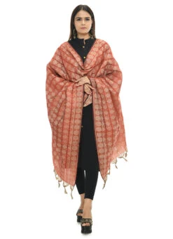 Rust Handloom Cotton Weaving Work Dupatta Work Wear -Indo Clothing Shop rust handloom cotton weaving work dupatta dpdmimfd073 u