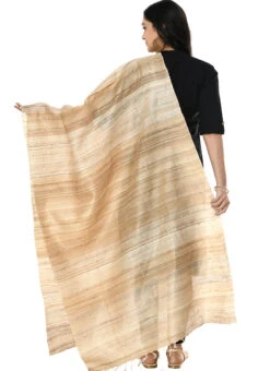 Tussar Art Silk Dupatta After Six Wear 7 Tussar Art Silk Dupatta After Six Wear -Indo Clothing Shop tussar art silk dupatta dpsdmfd190 b