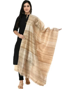 Tussar Art Silk Dupatta After Six Wear 6 Tussar Art Silk Dupatta After Six Wear -Indo Clothing Shop tussar art silk dupatta dpsdmfd190 u